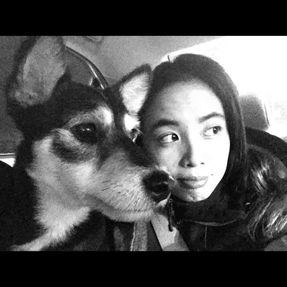 ☀️ Hello there ☀️